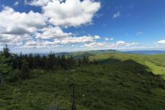 IMG_20260606_135346621