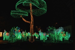 IMGP8796