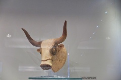 DSCF6976