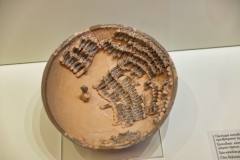 IMGP2642