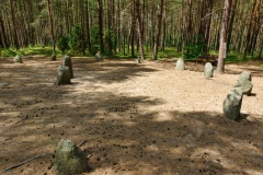 IMGP7538