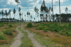 IMGP7615