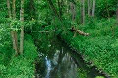IMGP7638