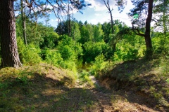 IMGP4584