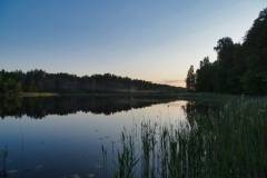 IMGP1880