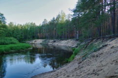 IMGP1916