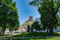 IMGP1923