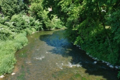 IMGP1935