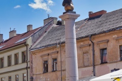 IMGP1937