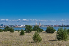 IMGP2148