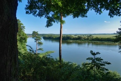 IMGP2169