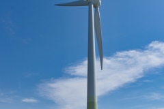 IMGP7787