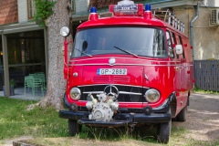 IMGP7806