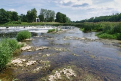 IMGP7812