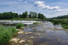 IMGP7814