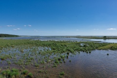 IMGP7880