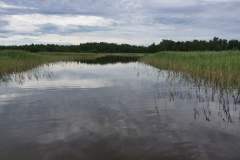 IMGP7887