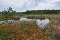 IMGP7894