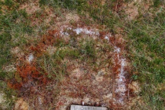 IMGP7896