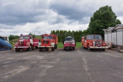 IMGP7951