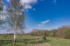 IMGP1449