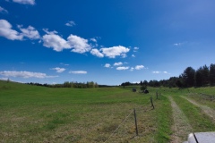 IMGP1476