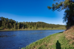 IMGP1491
