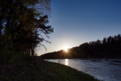 IMGP1497