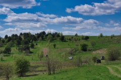 IMGP1517