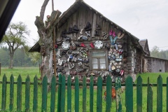 IMGP1559