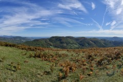 IMG20221005124142