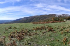 IMG20221005124235