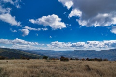 IMGP0907