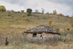 IMGP0915