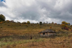 IMGP0916