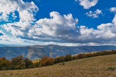 IMGP0928