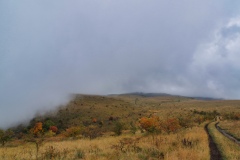 IMGP0943