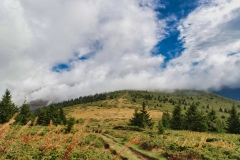 IMGP0949