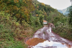 IMGP0962