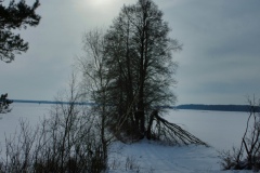 IMGP7079