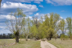 IMGP5074