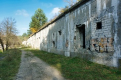 IMGP6464