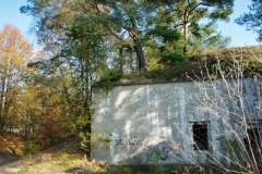 IMGP6467