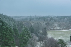 IMGP6772