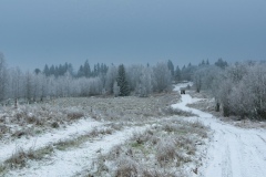 IMGP6786