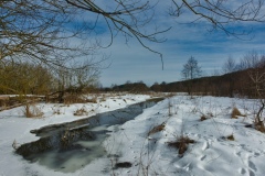 IMGP7069