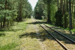 IMGP7267