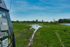 IMGP7297