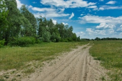 IMGP7492