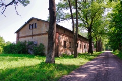 IMGP7823